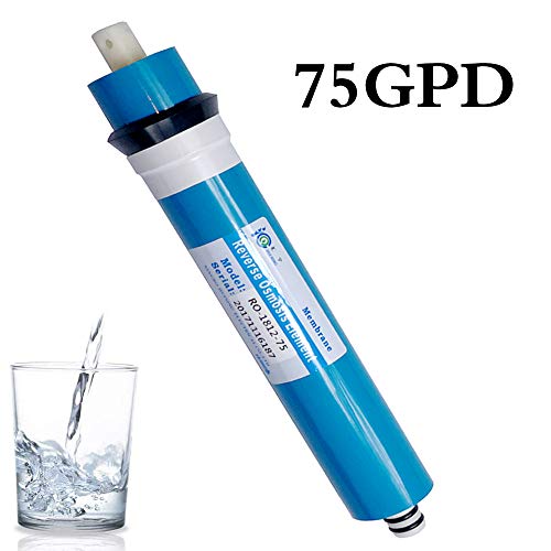 Membrane 100 GPD